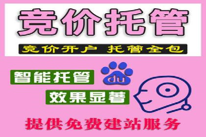 百度推广费用标准与实际案例分享